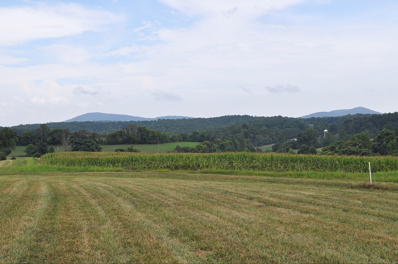 1167 Factory Hill Road Callaway, VA 24067 - Photo 80 of 80 View of the Blueridge Mountains