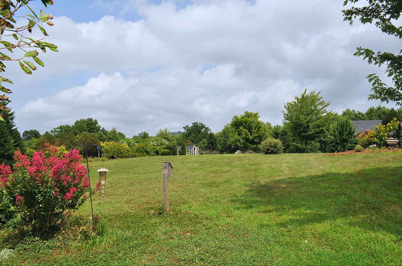 1167 Factory Hill Road Callaway, VA 24067 - Photo 10 of 80 a view of a field with plants and trees in the background