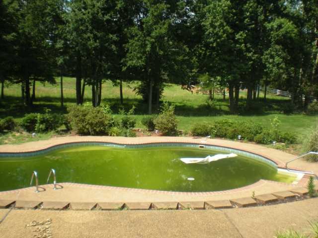 11760 Old Meadow Road Eads, TN 38028 - Photo 2 of 12 Gallery Image 2
