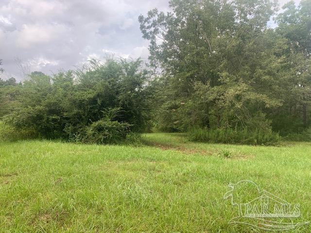 130 McKenzie Drive Atmore, AL 36502 - Photo 8 of 9 a view of an outdoor space and a yard