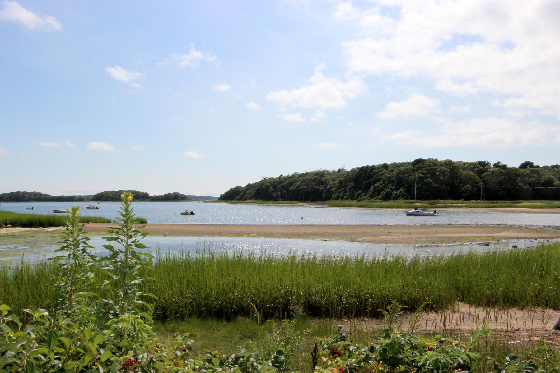 118 Old Dam Road Bourne, MA 02532 - Photo 12 of 20 IMG_1167