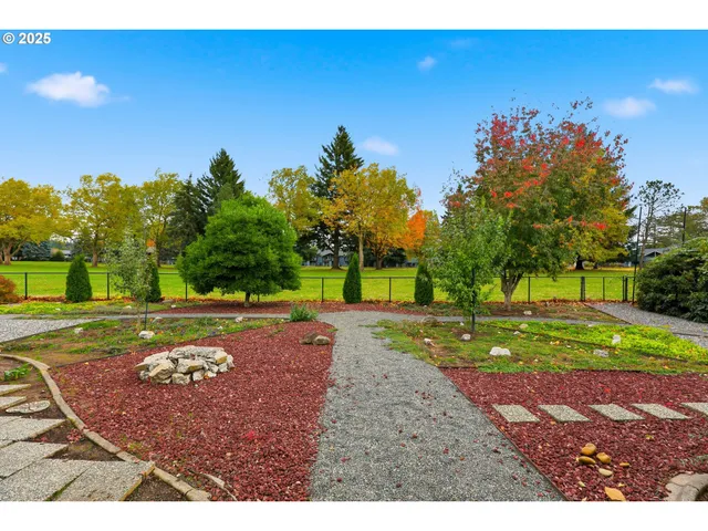 a view of a backyard