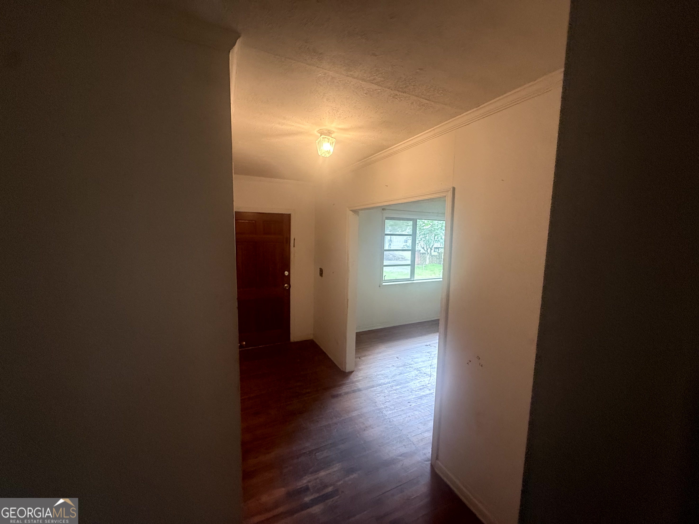 4040 Rauls Street Southeast Meigs, GA 31765 - Photo 4 of 21