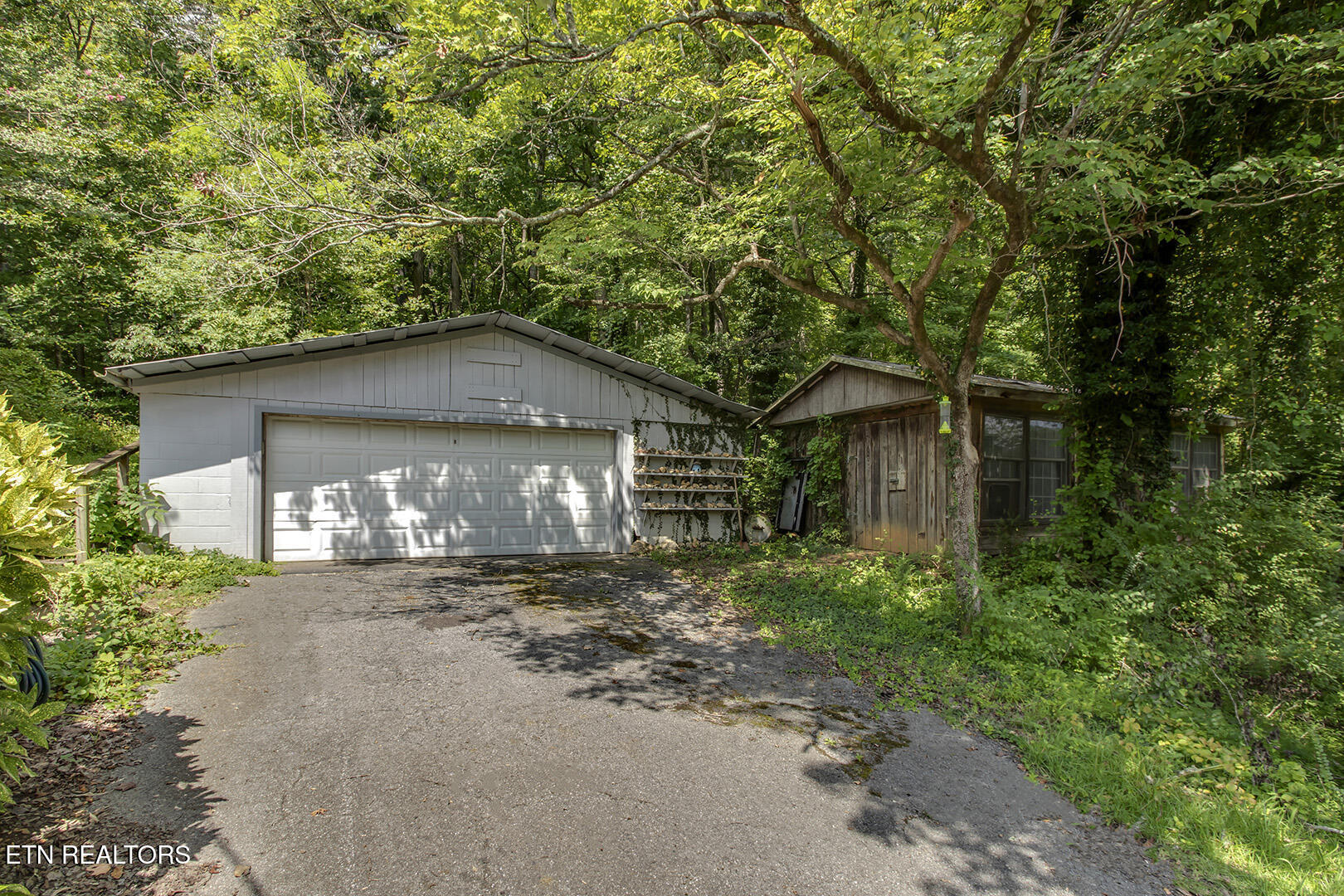 1309 Gamble Drive Heiskell, TN 37754 - Photo 36 of 47 38_GambleDrive_1309_Garage-Shed