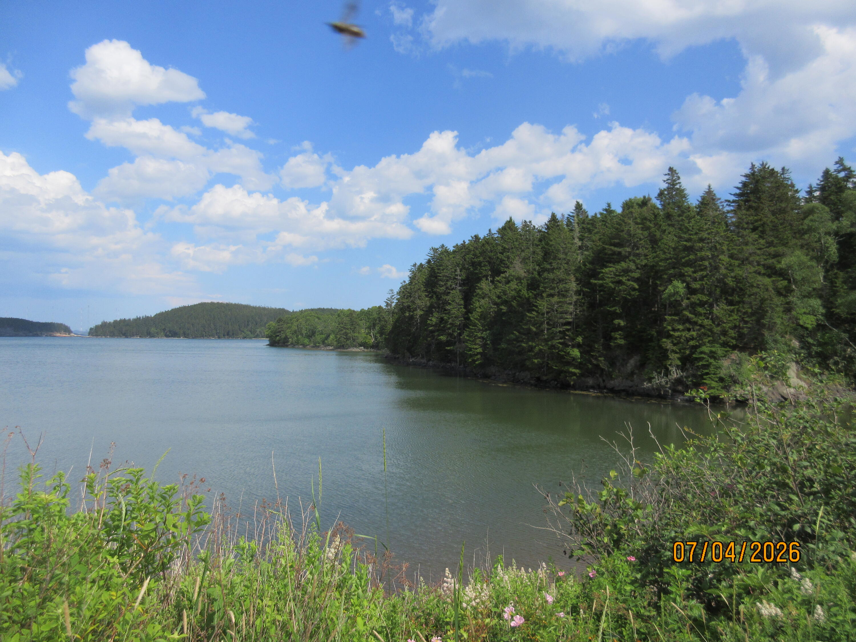 Lot 1 Smalls Point Road Machiasport, ME 04655 - Photo 1 of 11 Property with View