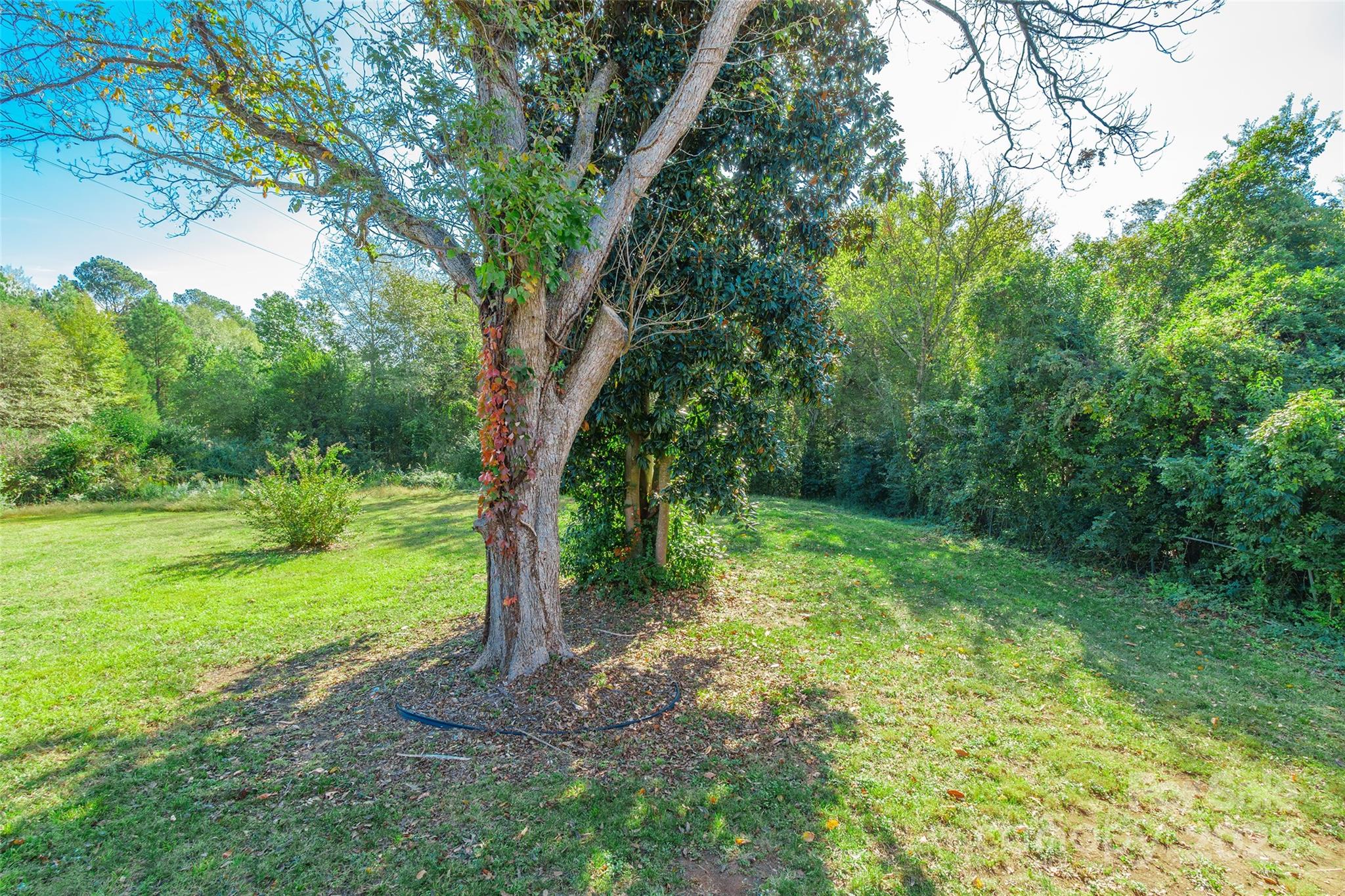 749 Meadowbrook Road Chester, SC 29706 - Photo 25 of 33 a view of a yard with a trees