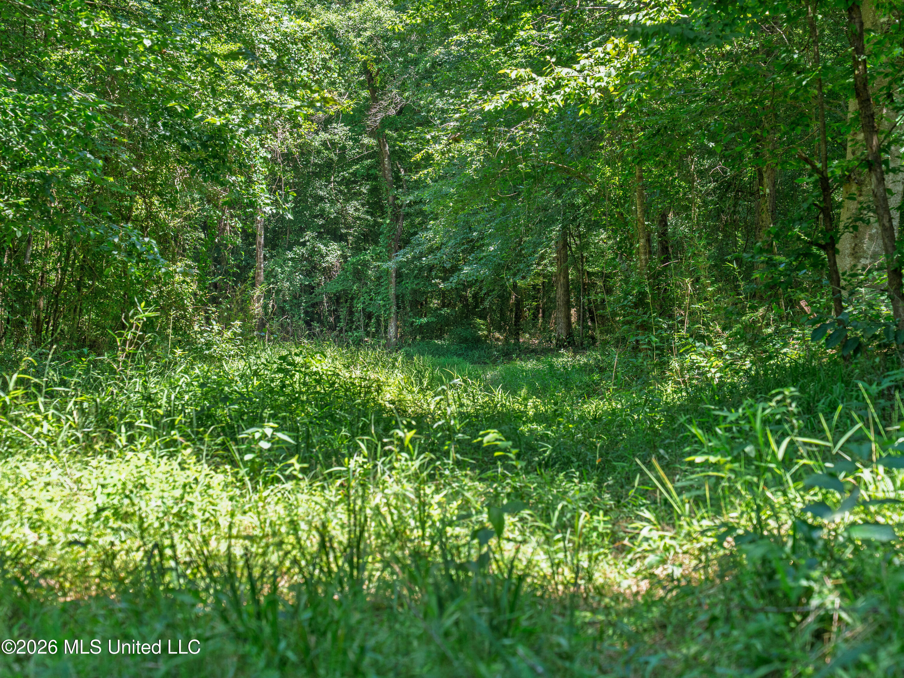 23 Co Road Bay Springs, MS 39422 - Photo 20 of 64 A7403758-2