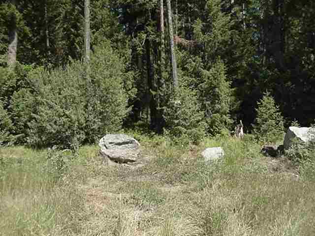 - South Swenson Road Deer Park, WA 99006 - Photo 3 of 3 Gallery Image 3