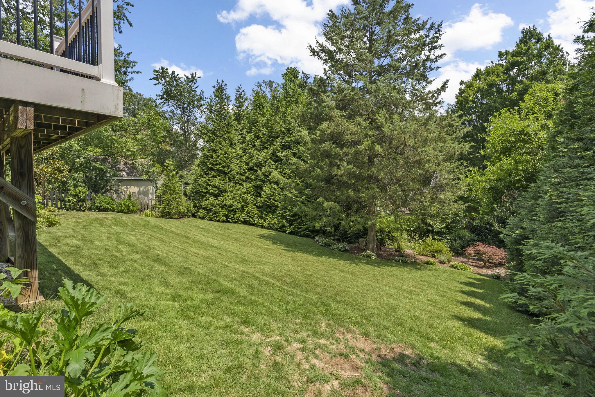 9601 Sutherland Road Silver Spring, MD 20901 - Photo 42 of 48 a view of a yard with plants and large trees