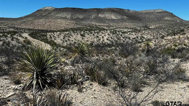 a view of a house with a mountain in the background