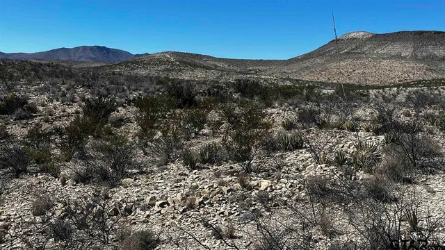 a view of a house with a mountain in the background
