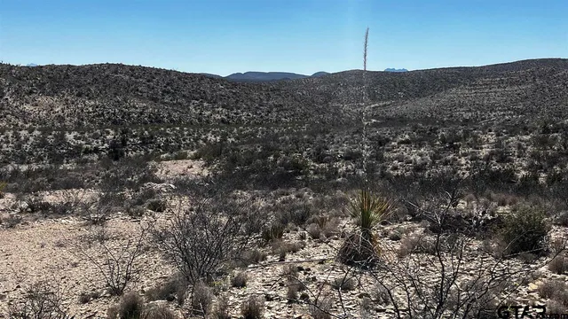 a view of a house with a mountain in the background