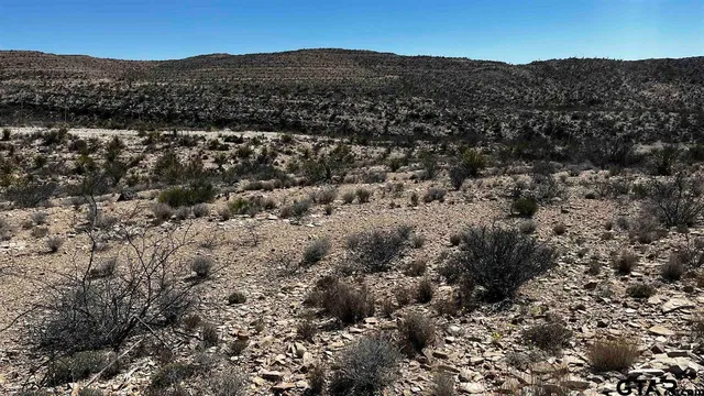 a view of a mountain in the distance