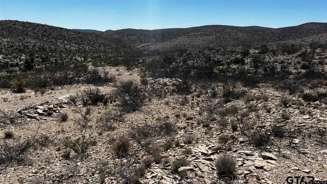 a view of a mountain in the distance in a field