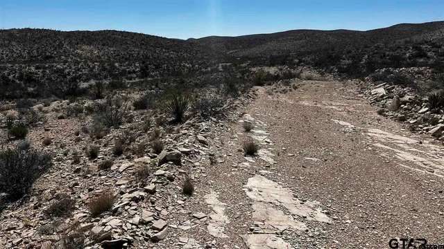 a view of a mountain in a field