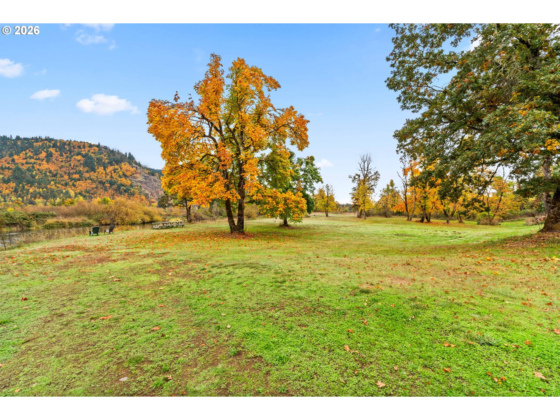 81541 Davisson Road Creswell, OR 97426 - Photo 35 of 48 Gallery Image 35