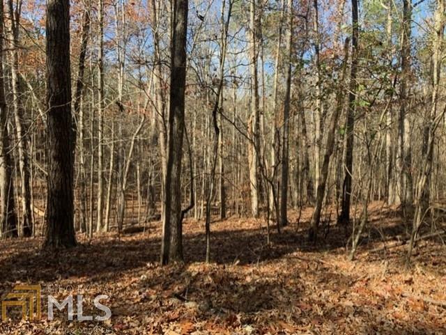 1010 Holland Springs Road, Unit 10 Madison, GA 30650 - Photo 1 of 1