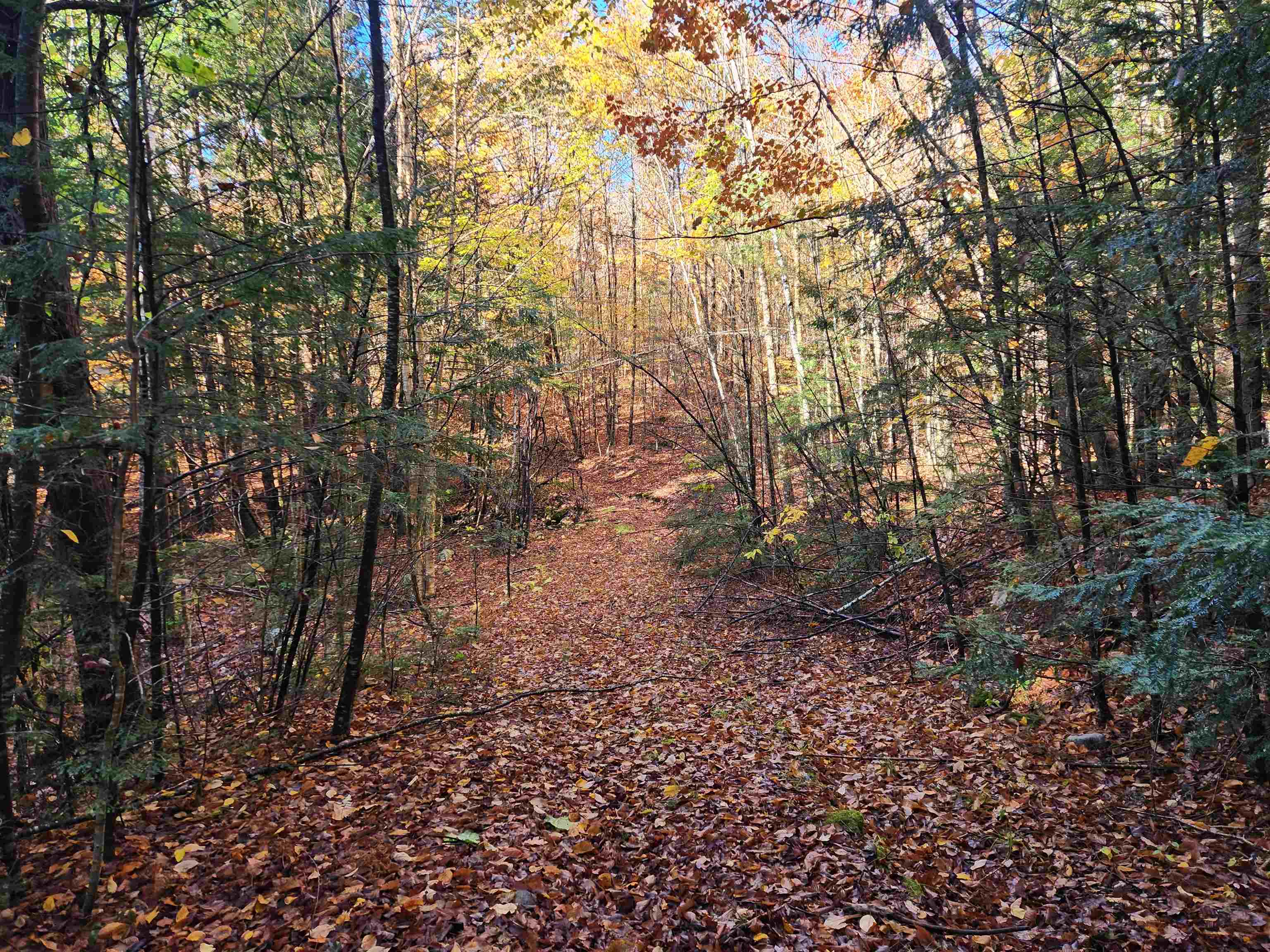 13 Calef Hill Road Tilton, NH 03276 - Photo 4 of 29 Gallery Image 4