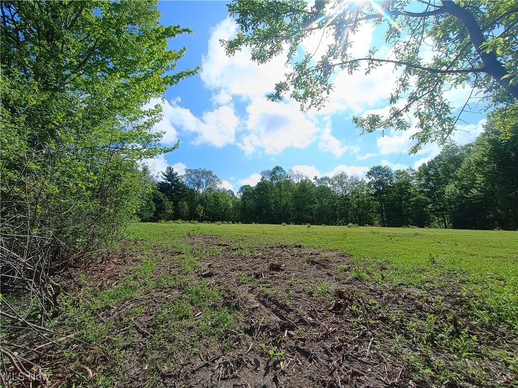10606 Sherman Road Chardon, OH 44024 - Photo 13 of 34 Gallery Image 13