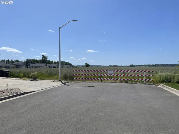 a view of a road with a yard