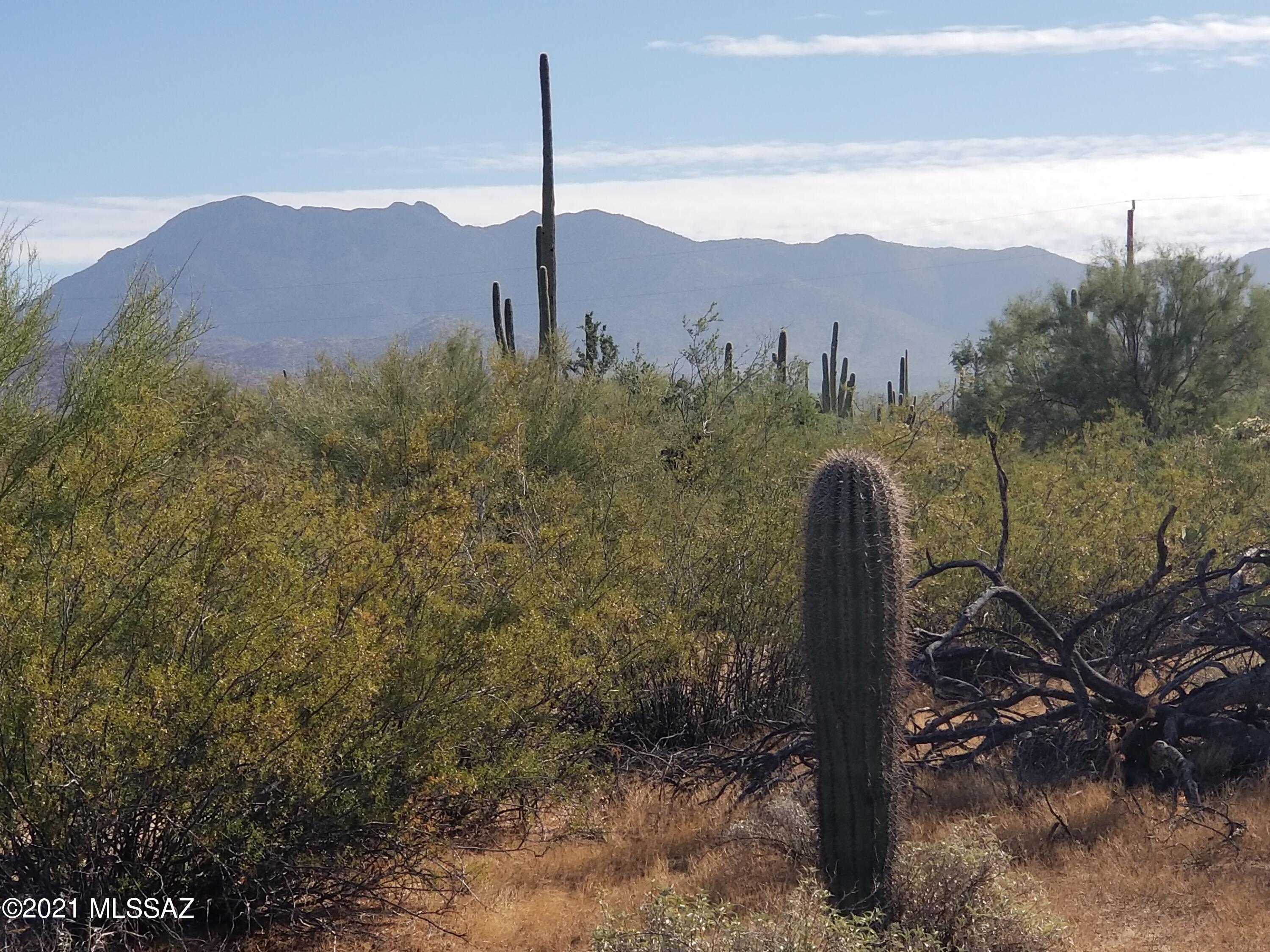 11110 West Rudasill Road, Unit 4 66 AC Tucson, AZ 85743 - Photo 15 of 19