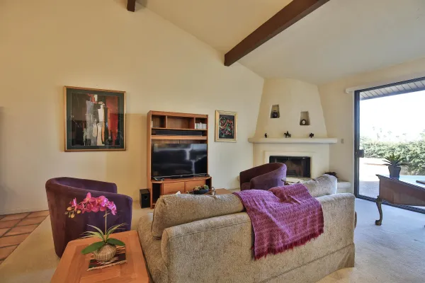 a living room with furniture a fireplace and a potted plant