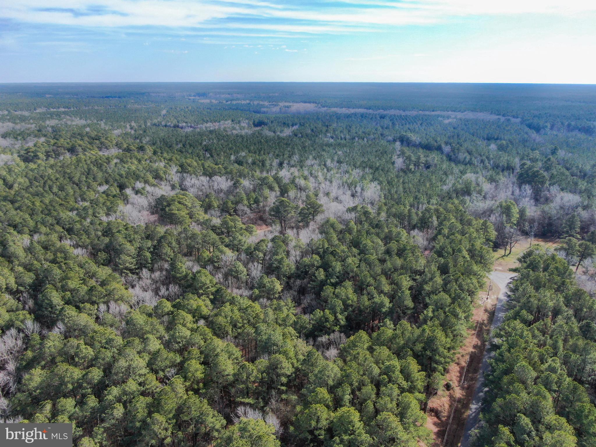 Lot 2 Sand Road Snow Hill, MD 21863 - Photo 4 of 5 a view of a big yard with lots of green space