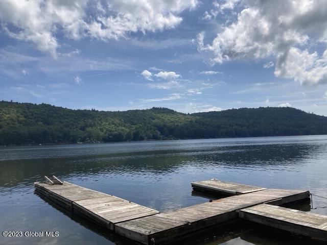2878 North Shore Road Hadley, NY 12835 - Photo 21 of 22 IMG_5011