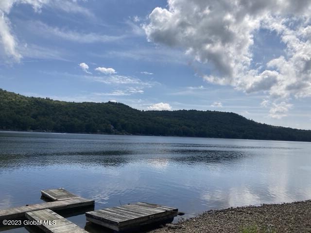 2878 North Shore Road Hadley, NY 12835 - Photo 22 of 22 IMG_5019