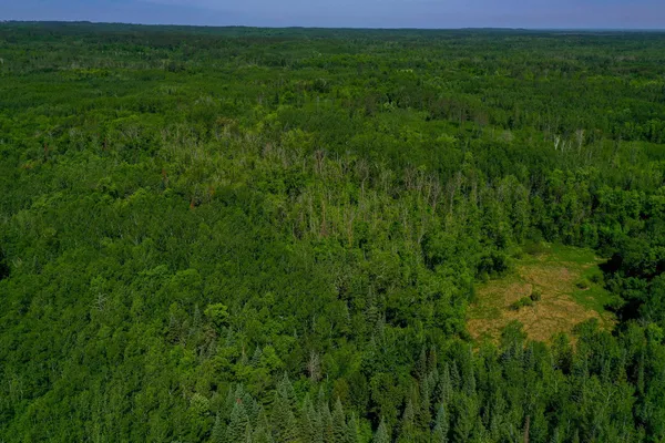 $625,000 | 47 Co Highway 47, Osage, MN 56570