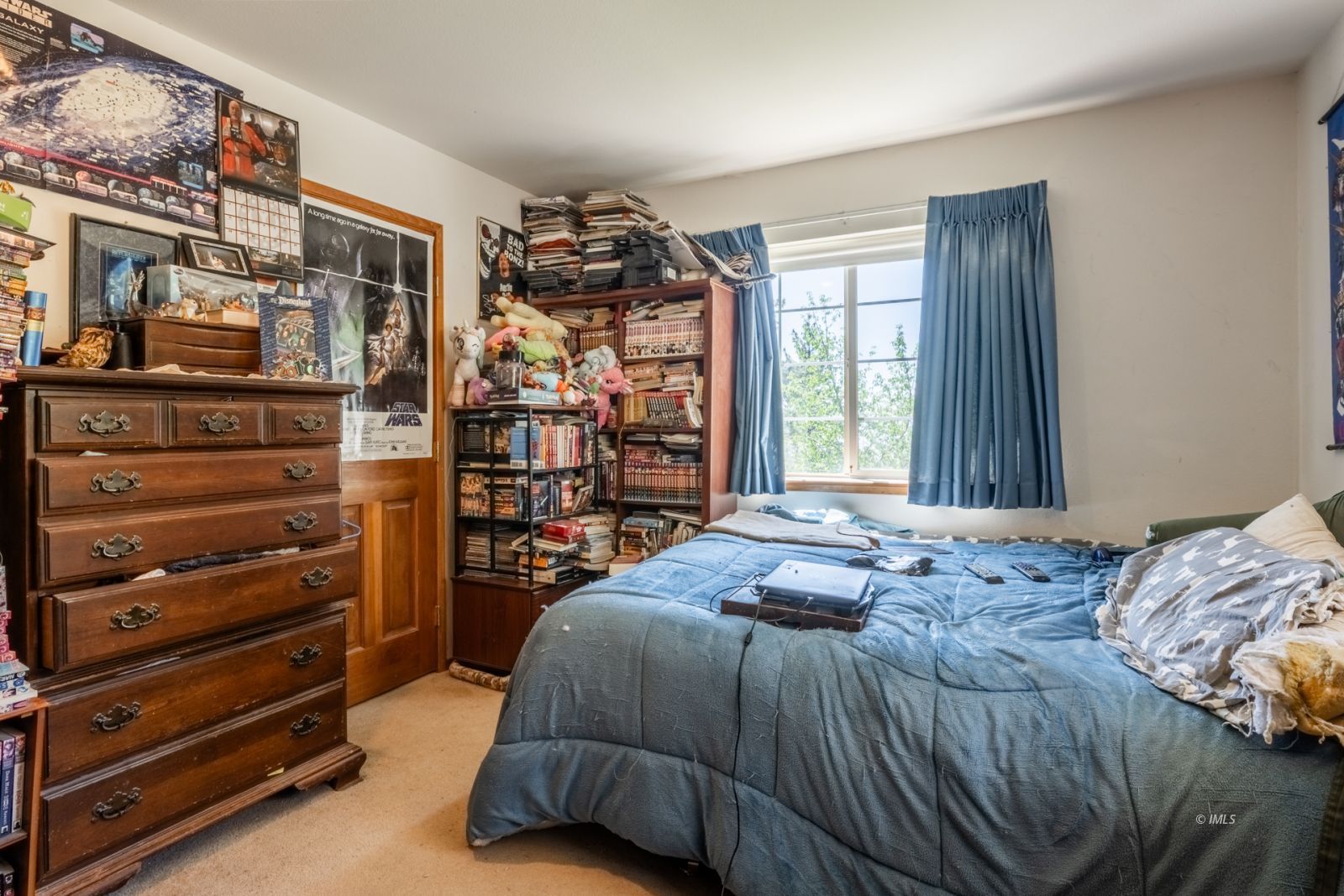 67 Willow Road Swall Meadows, CA 93514 - Photo 11 of 35 a bedroom with a bed and a window