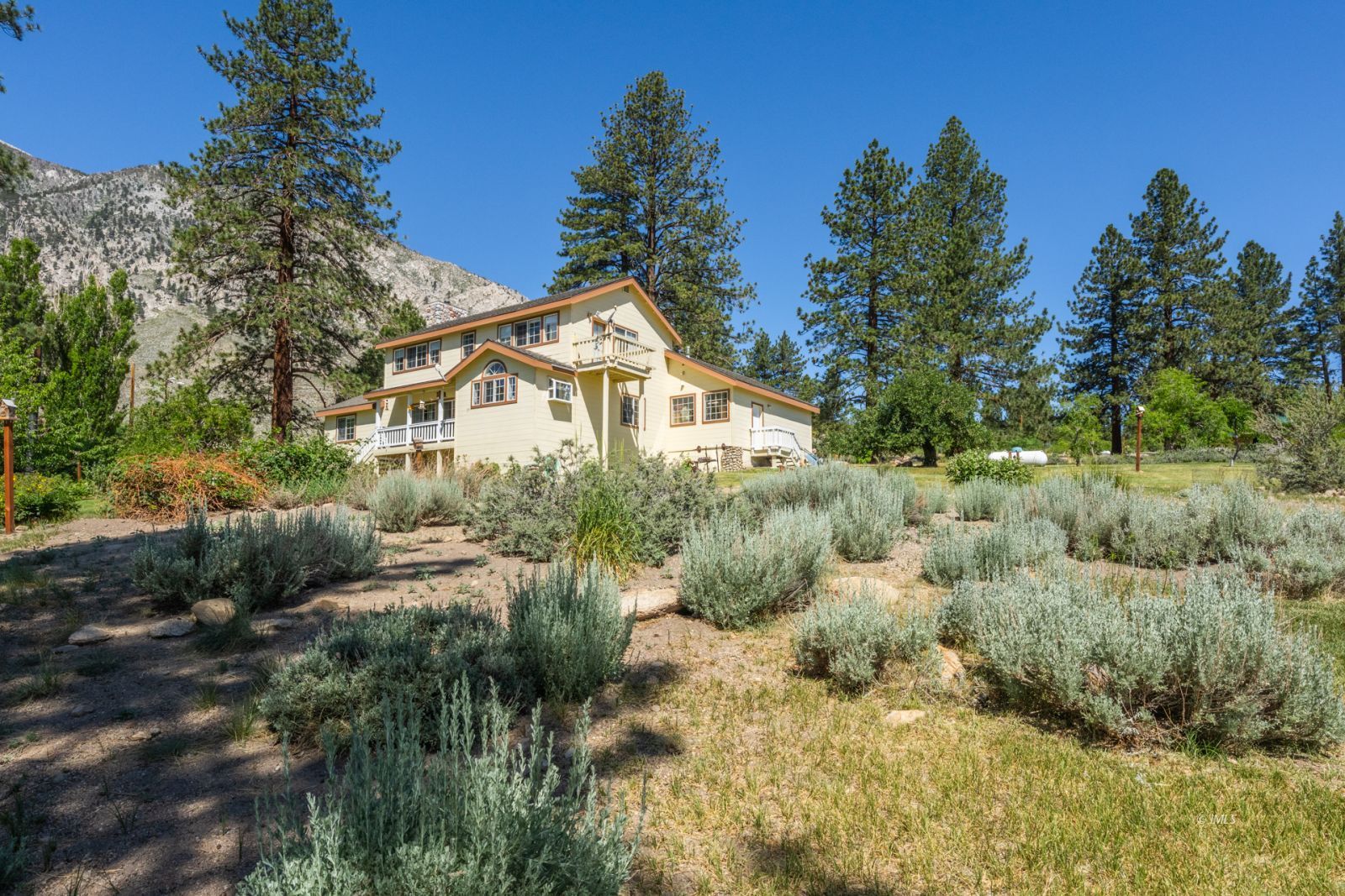 67 Willow Road Swall Meadows, CA 93514 - Photo 23 of 35 a view of a house with a yard and plants