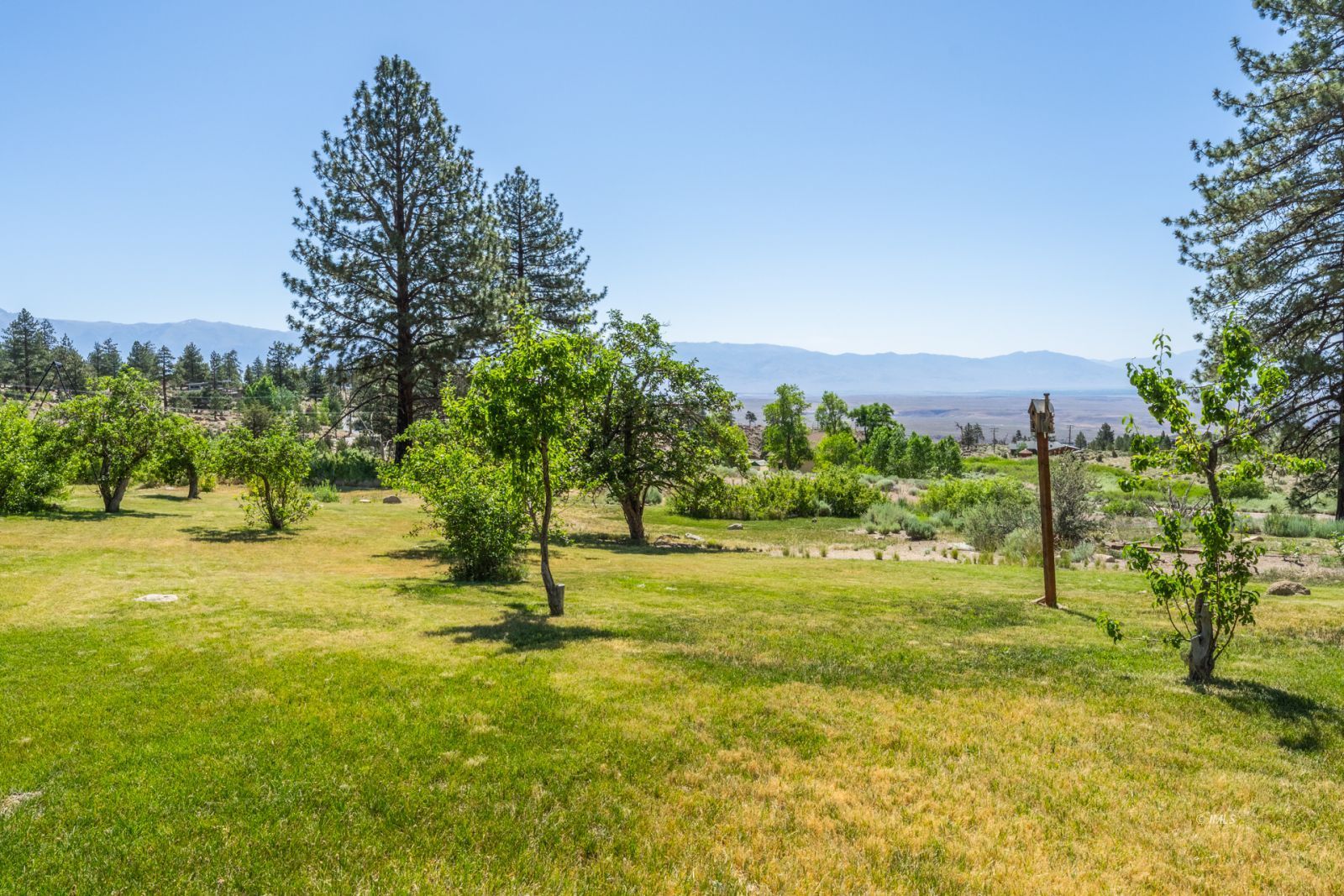 67 Willow Road Swall Meadows, CA 93514 - Photo 28 of 35 a view of an outdoor space and yard