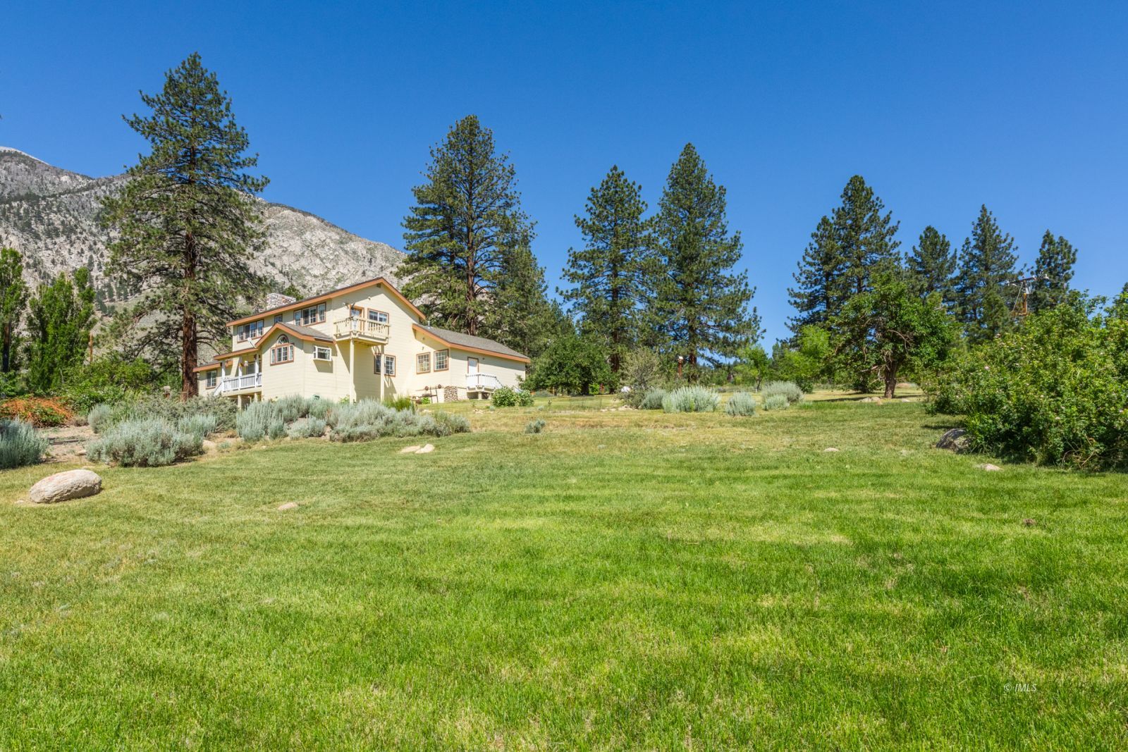 67 Willow Road Swall Meadows, CA 93514 - Photo 29 of 35 a view of a white house with a yard and trees in the background
