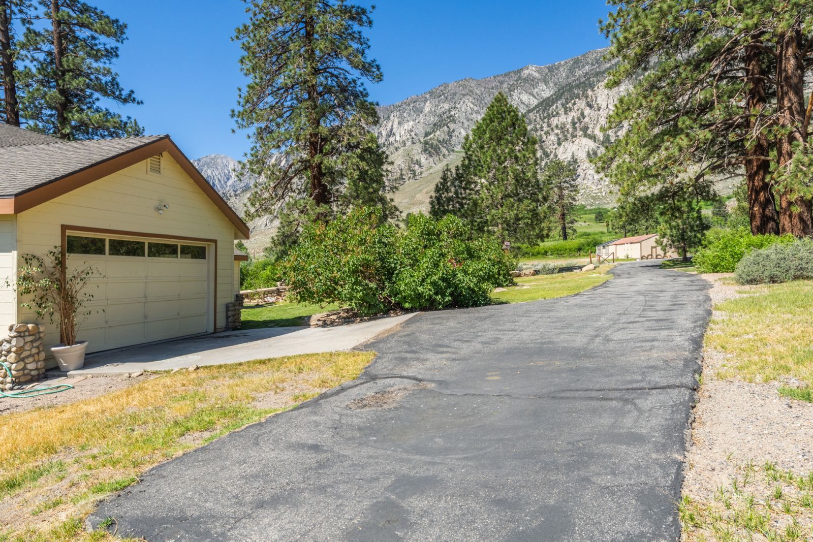 67 Willow Road Swall Meadows, CA 93514 - Photo 30 of 35 a view of a house with a yard and large tree