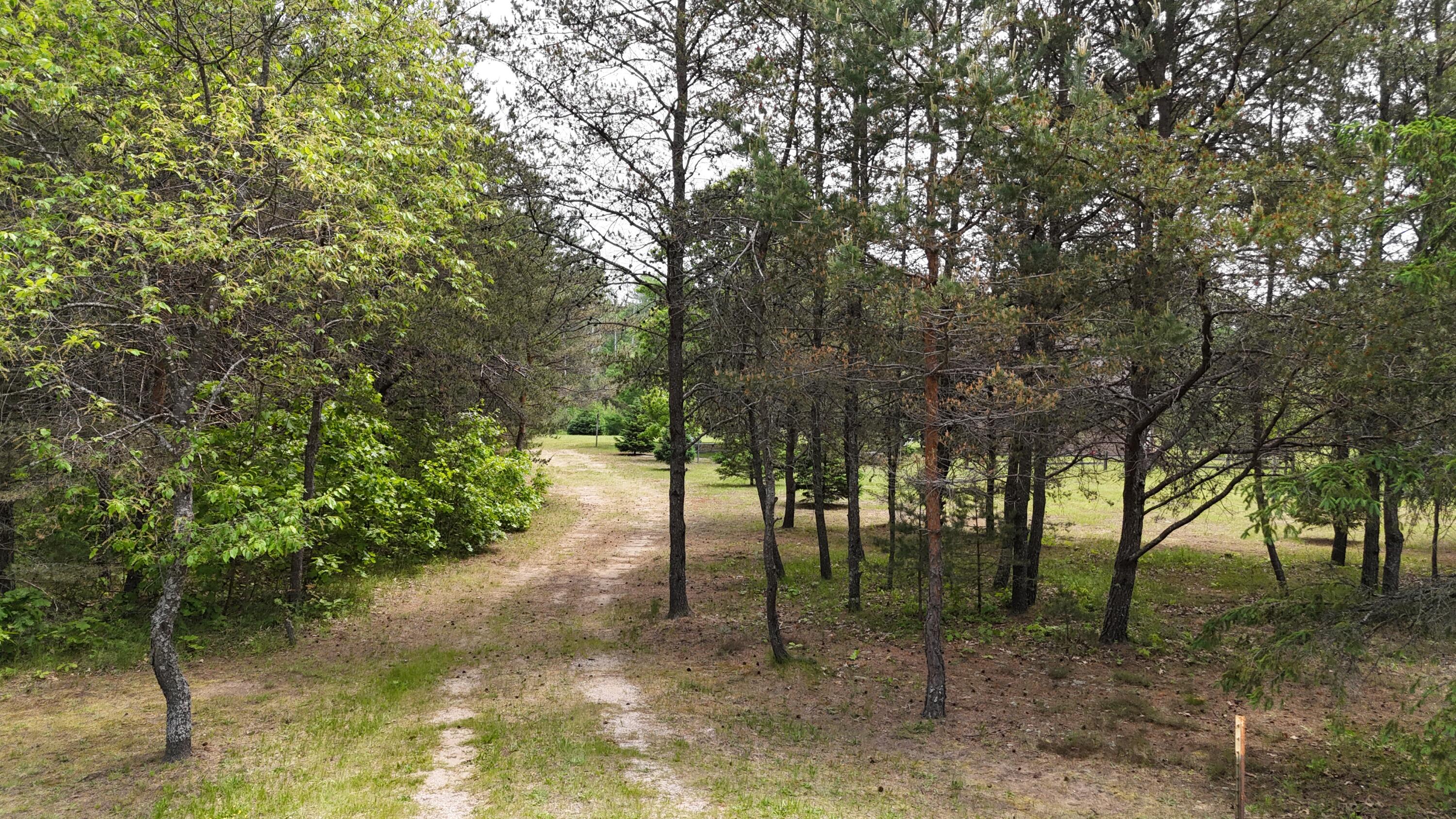 1345 Bosschem Road Wellston, MI 49689 - Photo 63 of 78 1000009218