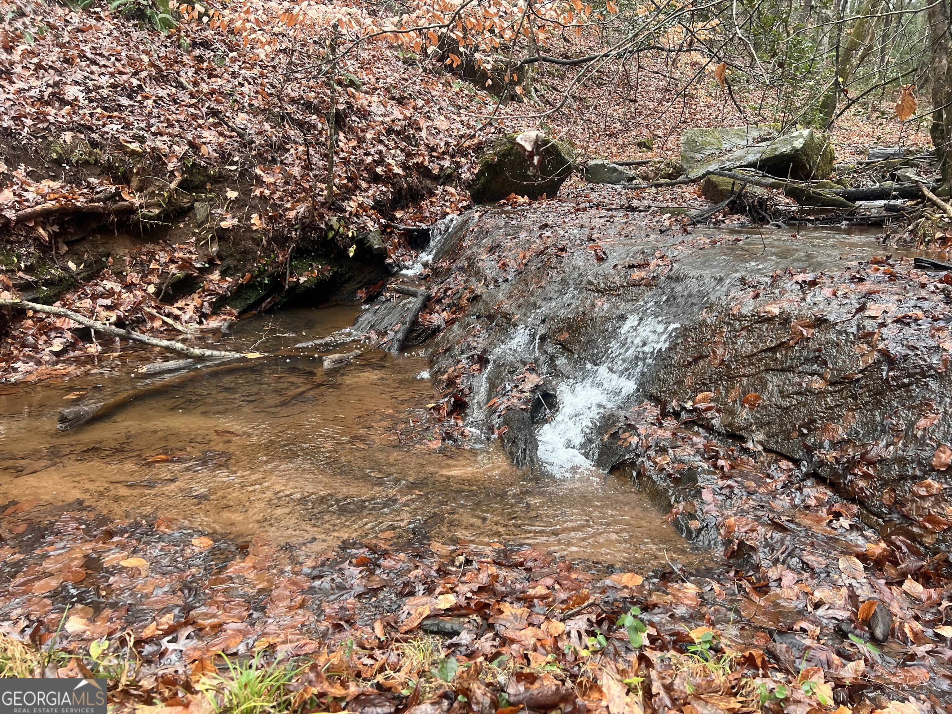 539 Falling Water Drive Demorest, GA 30535 - Photo 2 of 5 a view of a yard with a tree