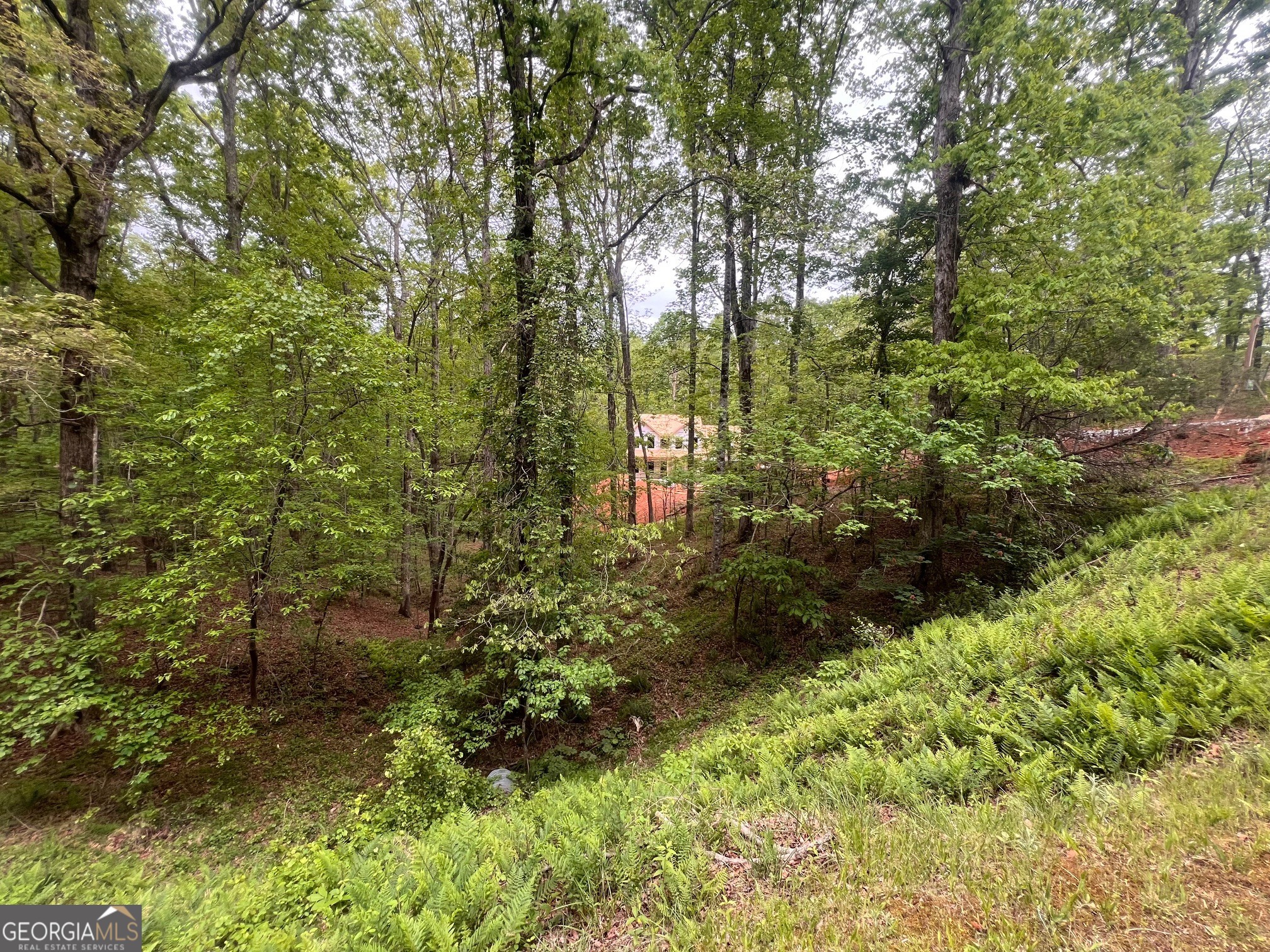 539 Falling Water Drive Demorest, GA 30535 - Photo 3 of 17
