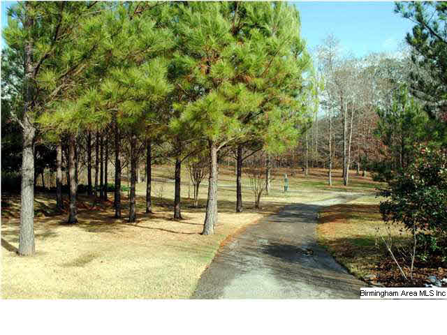 1499 Waterside Circle Hoover, AL 35244 - Photo 17 of 18