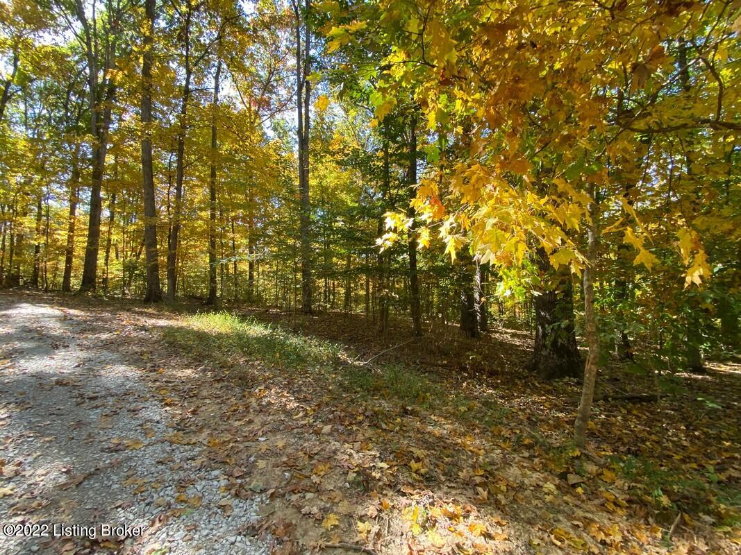 L7 Ted Logsdon Road Clarkson, KY 42726 - Photo 1 of 16 River View 101322260