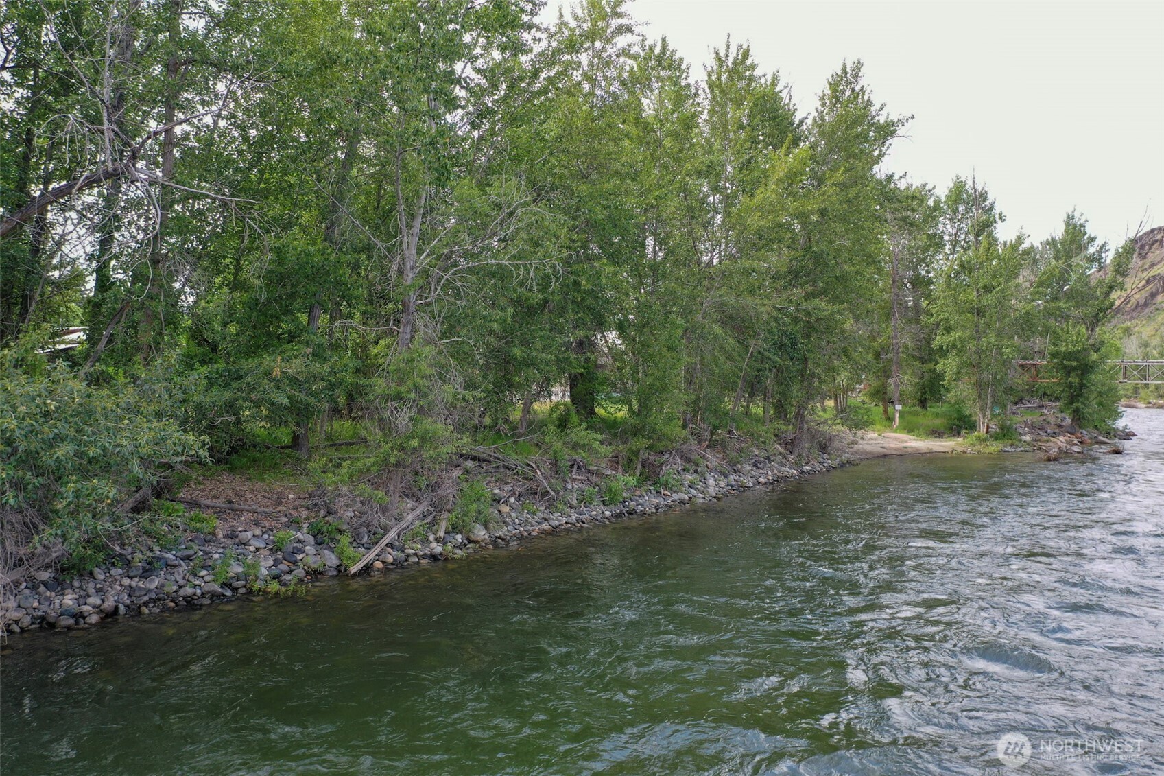 518 Bridge Street Twisp, WA 98856 - Photo 4 of 40 a view of a lush green forest with lots of trees