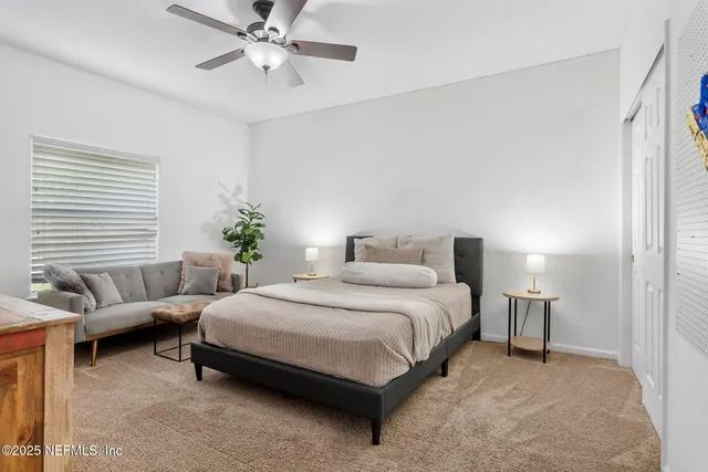 a view of a backyard with palm trees