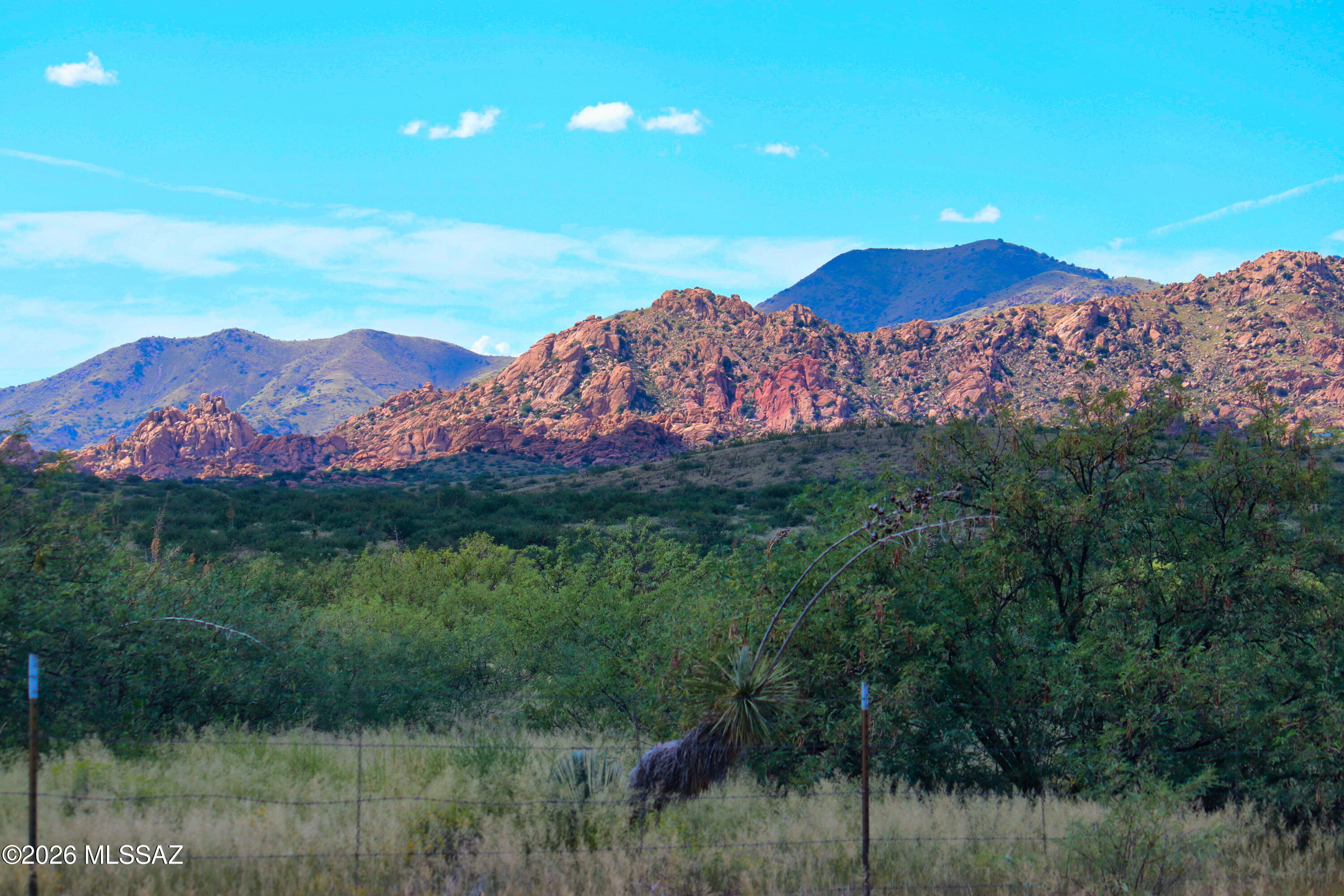 1917 North Montana Road Dragoon, AZ 85609 - Photo 41 of 42 T-DRAGOON MOUNTAINS 2