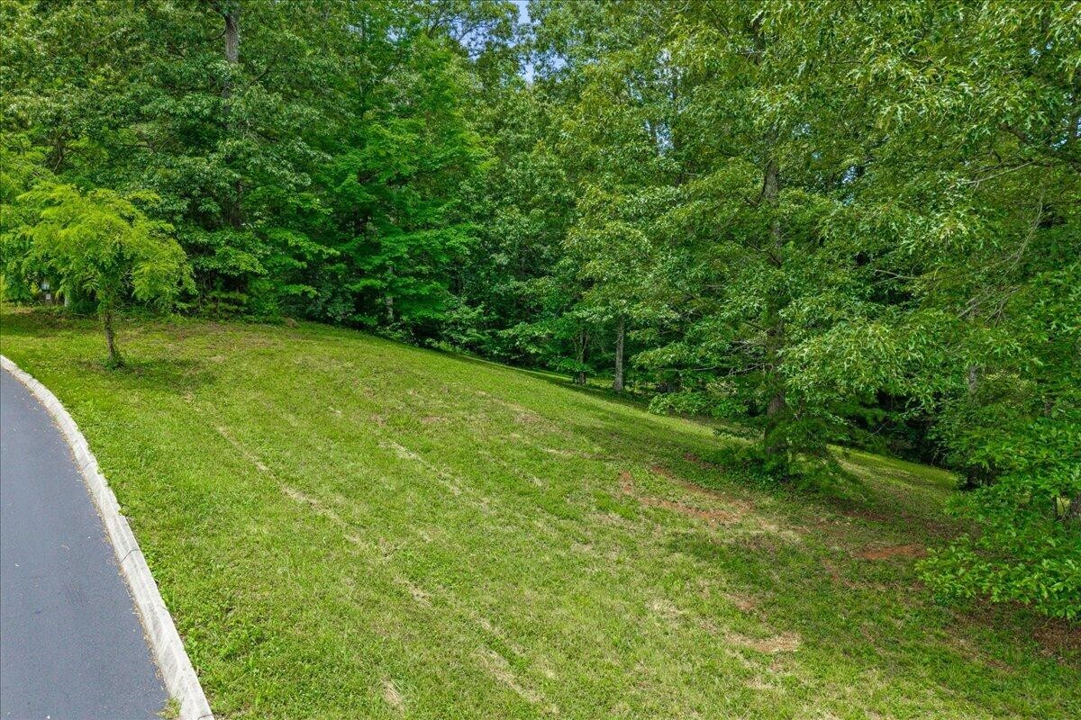 34 Springwater Madisonville, TN 37354 - Photo 11 of 13