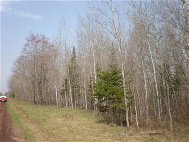 Xxxx McComber Road Duluth, MN 55803 - Photo 3 of 8 Gallery Image 3