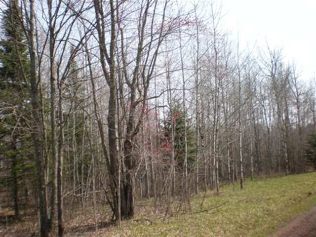 Xxxx McComber Road Duluth, MN 55803 - Photo 4 of 8 Gallery Image 4