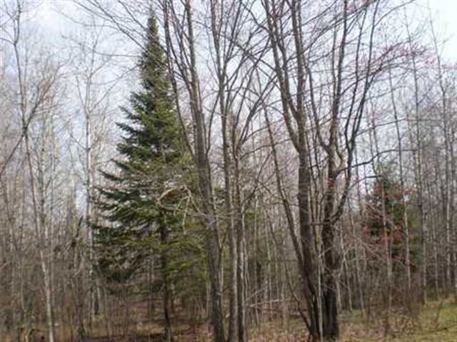 Xxxx McComber Road Duluth, MN 55803 - Photo 6 of 8 Gallery Image 6