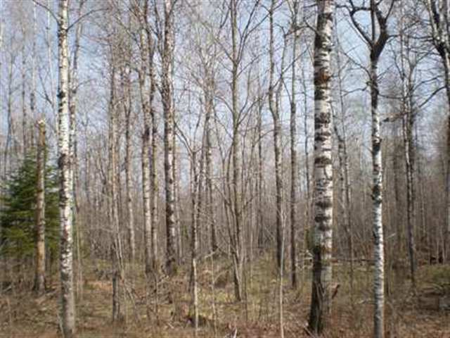 Xxxx McComber Road Duluth, MN 55803 - Photo 7 of 8 Gallery Image 7