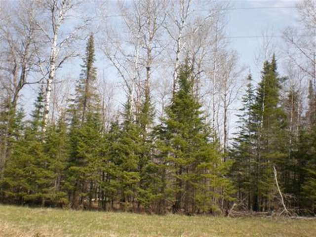 Xxxx McComber Road Duluth, MN 55803 - Photo 8 of 8 Gallery Image 8
