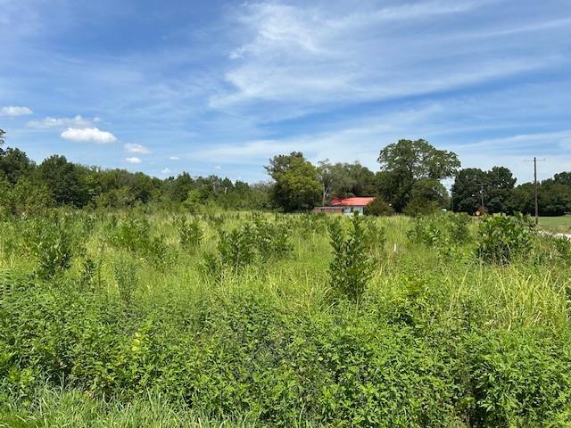 685 Walnut Street Oswego, KS 67356 - Photo 3 of 16